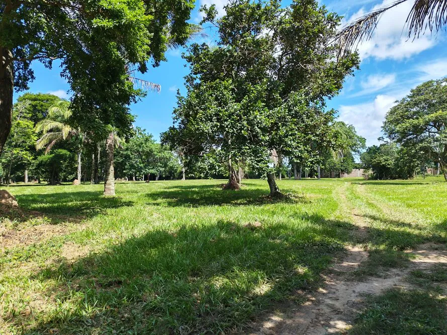 Foto 4 de En Santa Cruz - Montero Terreno Amplio en Venta Zona Norte - Montero - Urbanizacion La Arboleda
