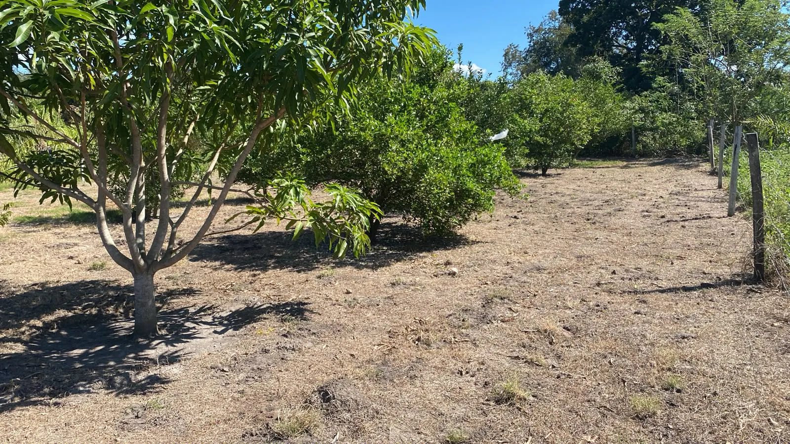 Foto 6 de ✨ ¡Oportunidad Única de Inversión Terreno en Portachuelo!