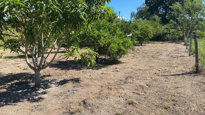 Foto 6 de ✨ ¡Oportunidad Única de Inversión Terreno en Portachuelo!