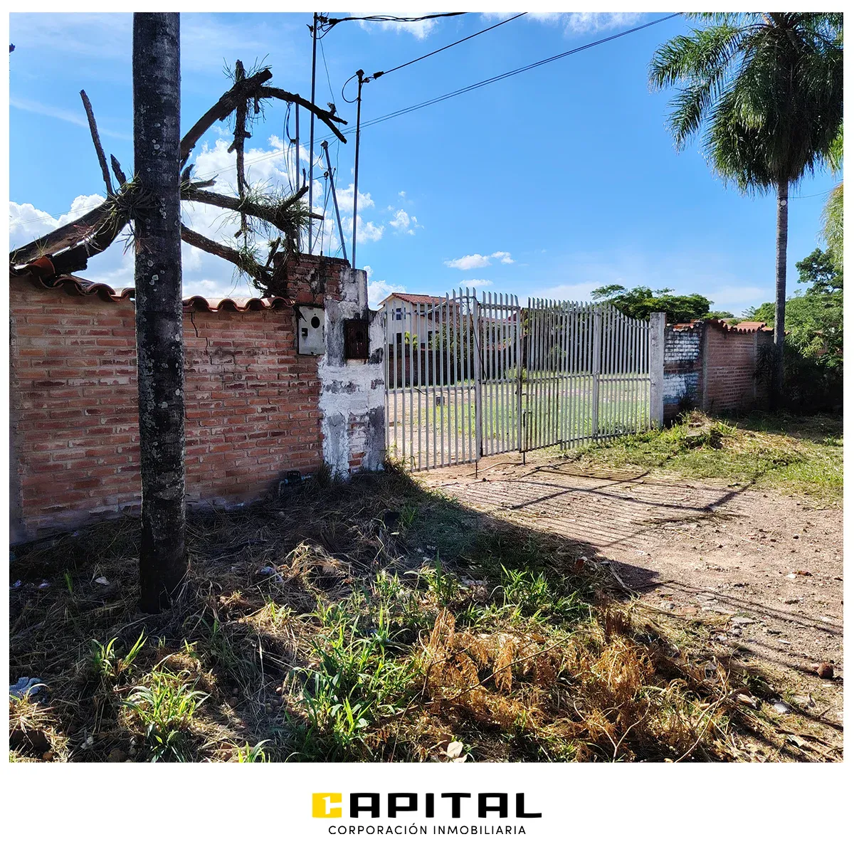 Foto 2 de Frente al Colegio San Lorenzo – Amplio Terreno en Alquiler en Esquina