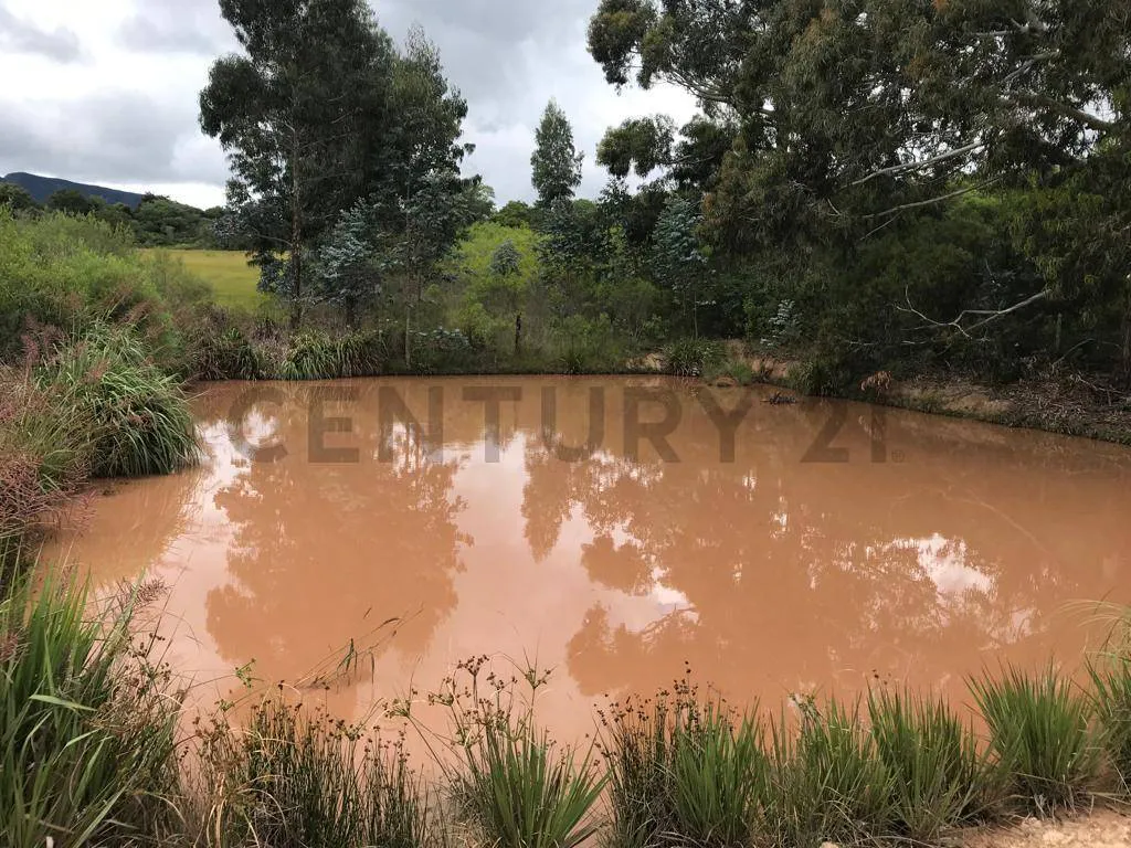 Foto 2 de Una Quinta en Samaipata de 3 Hectáreas