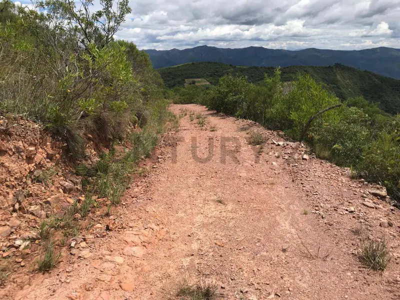 Foto 10 de Una Quinta en Samaipata de 3 Hectáreas