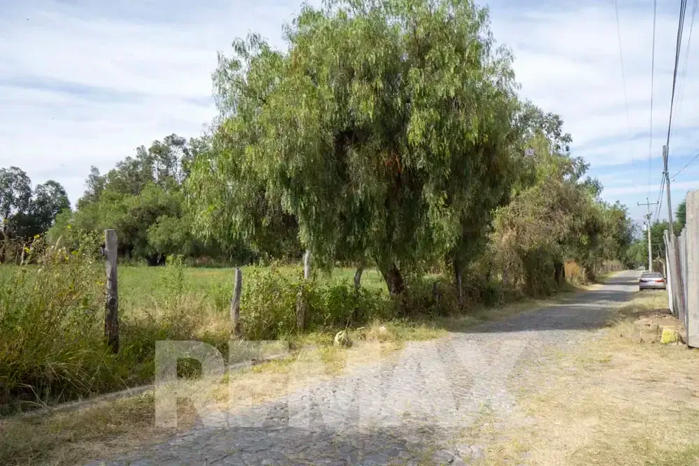 Foto 5 de Terreno en Alquiler de 10.000 M² con Doble Acceso | Apote Norte