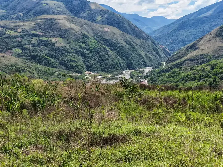 Foto 4 de Lotes en Venta Coroico