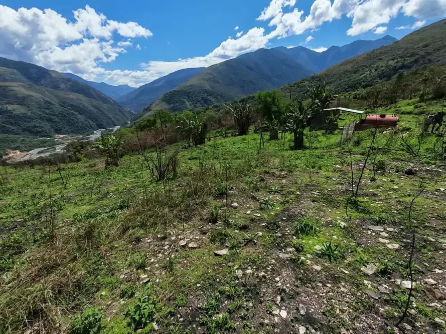 Foto 6 de Lotes en Venta Coroico