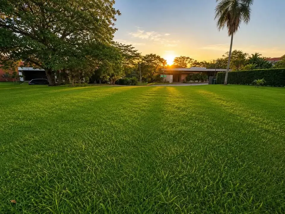Foto 3 de Hermoso Terreno Venta Colinas la cañada
