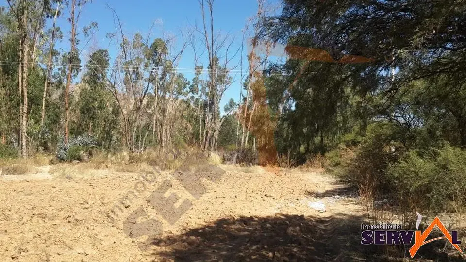 Foto 5 de Lote en Venta de 4237 M2, Camino Tarata Inmediaciones Laguna de La Angostura