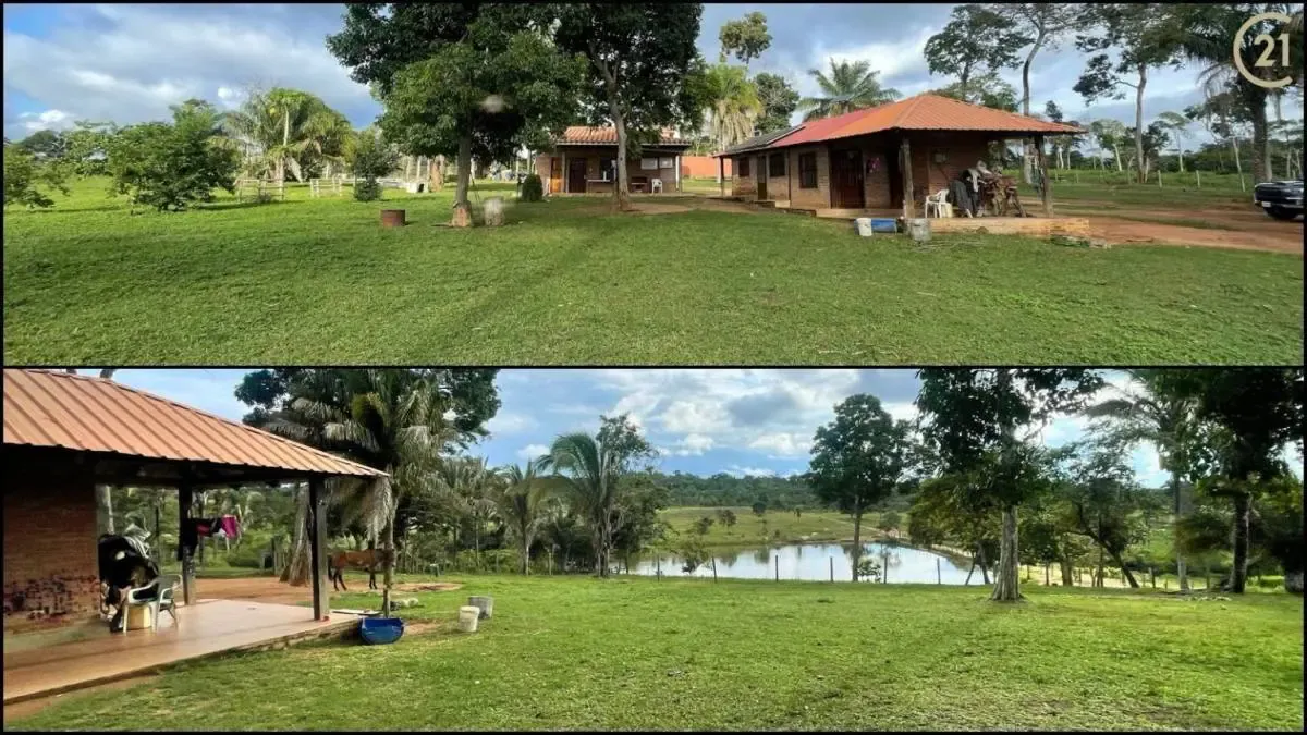 Foto 2 de Propiedad Ganadera - Venta Concepción