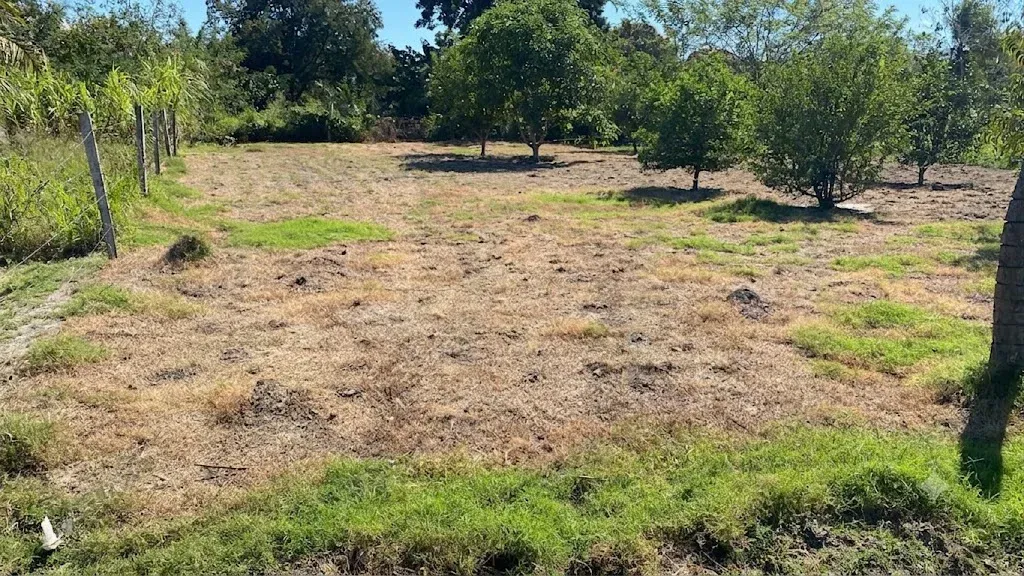 Foto 2 de Terreno en venta Portachuelo (oportunidad)