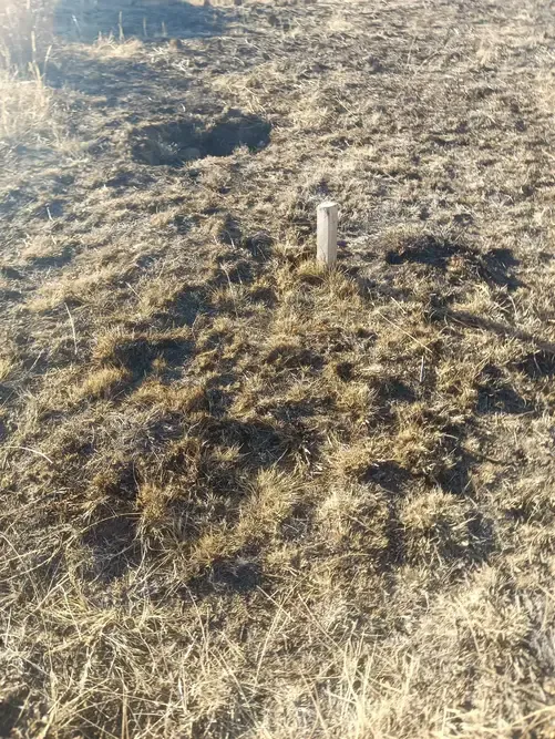 Foto 4 de Terreno en Venta en esquina Urbanización Santa María II