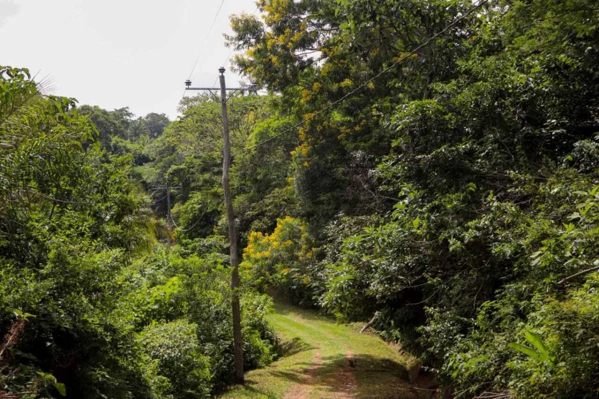 Foto 11 de Vivir rodeado de Naturaleza a 40 minutos de la ciudad.