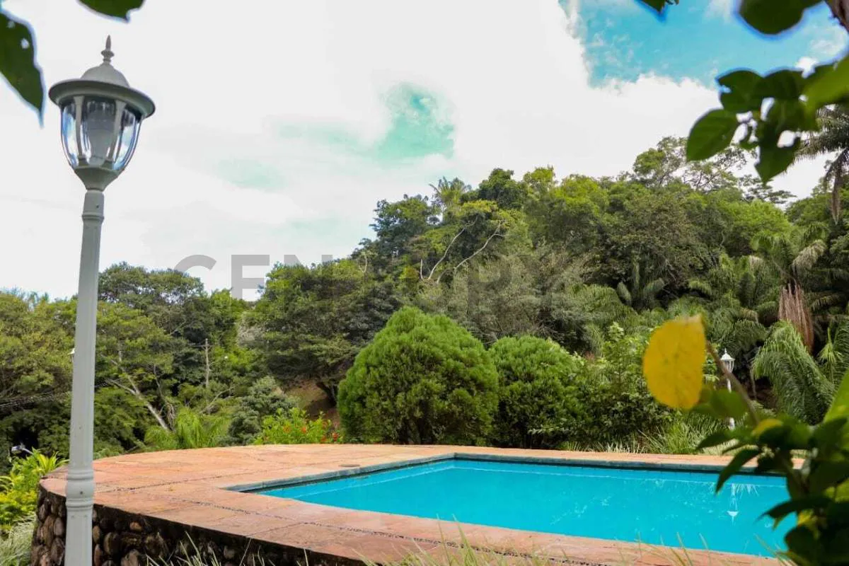 Foto 10 de Vivir rodeado de Naturaleza a 40 minutos de la ciudad.