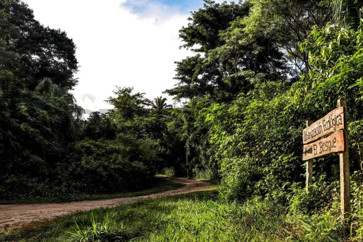 Foto 1 de Vivir rodeado de Naturaleza a 40 minutos de la ciudad.