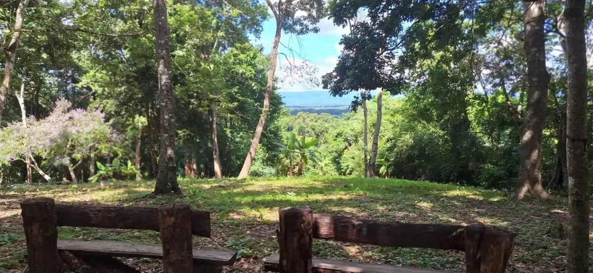 Foto 5 de Terreno en Venta Ubicado en el pueblo de Buena Vista