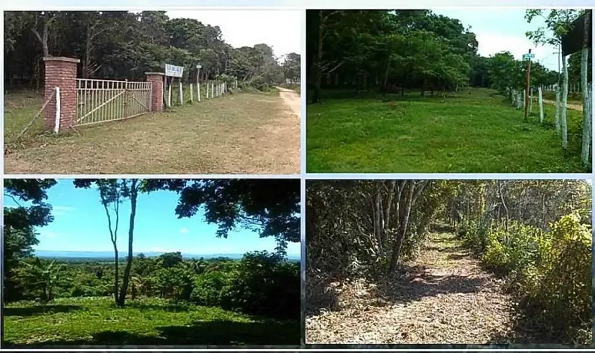 Foto 3 de Terreno en Venta Ubicado en el pueblo de Buena Vista