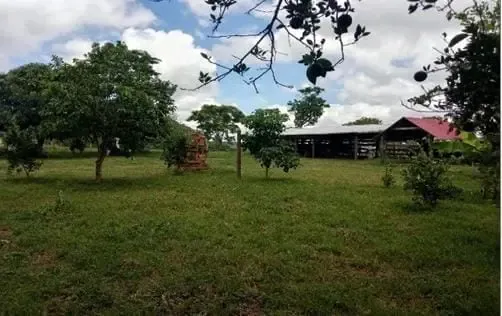 Foto 3 de En Venta | Propiedad Ganadera