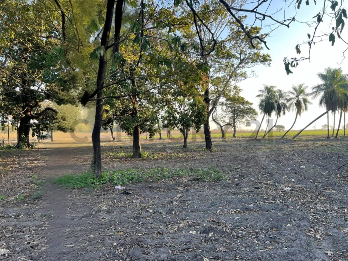 Foto 3 de Terreno en Venta