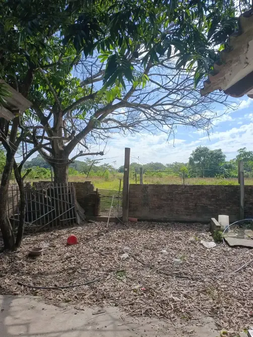 Foto 10 de 🌿 Propiedad Productiva en Venta – San Carlos, Santa Cruz 🌿