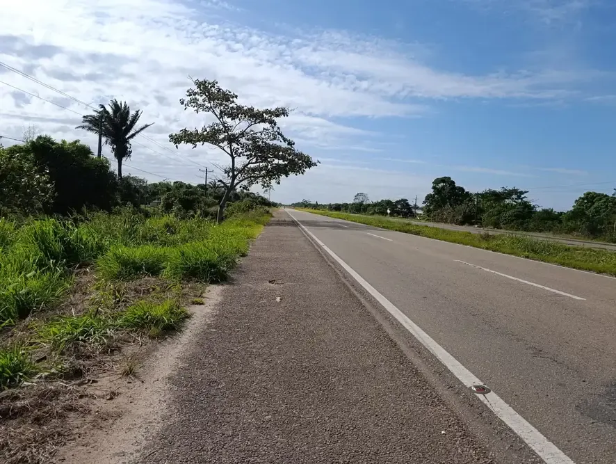 Foto 11 de 🌿 Propiedad Productiva en Venta – San Carlos, Santa Cruz 🌿