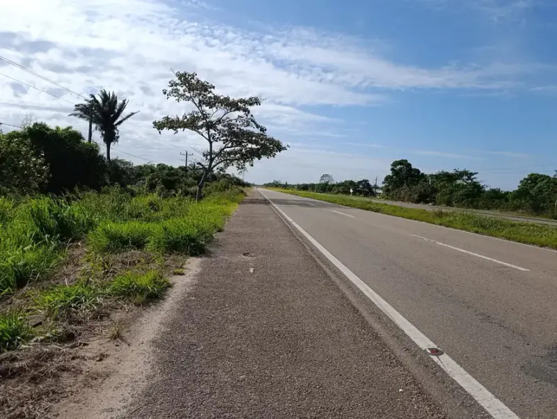Foto 11 de 🌿 Propiedad Productiva en Venta – San Carlos, Santa Cruz 🌿