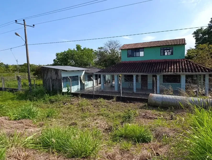 Foto 3 de 🌿 Propiedad Productiva en Venta – San Carlos, Santa Cruz 🌿