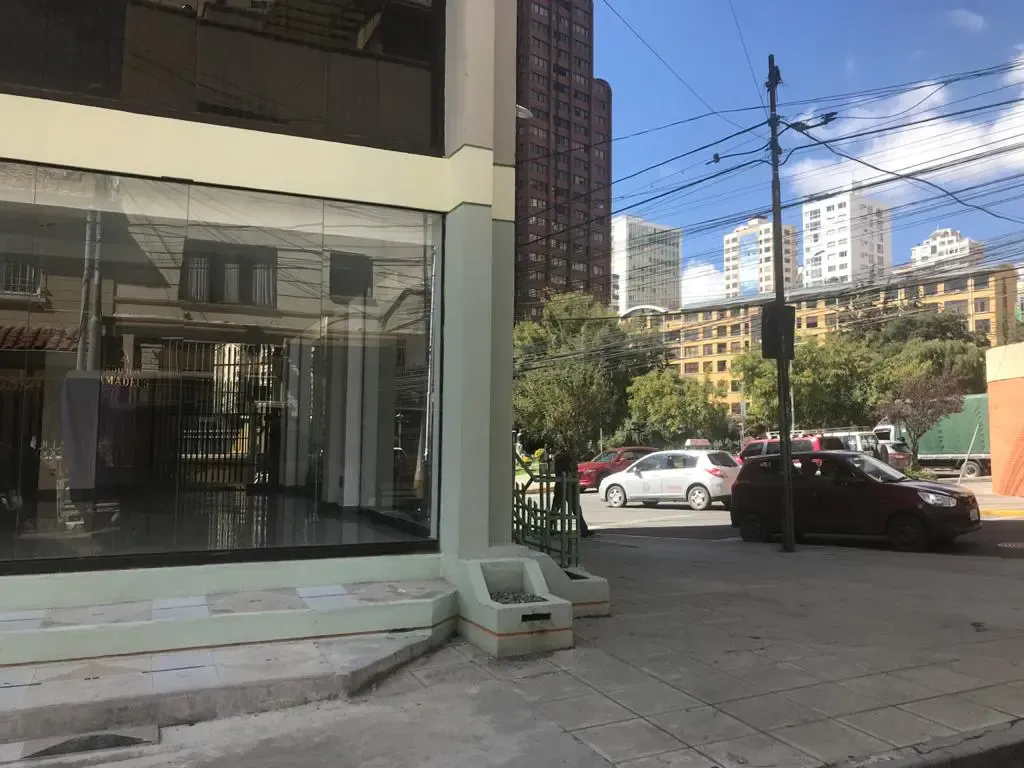 Foto 4 de Local Comercial de Alto Trafico Peatonal