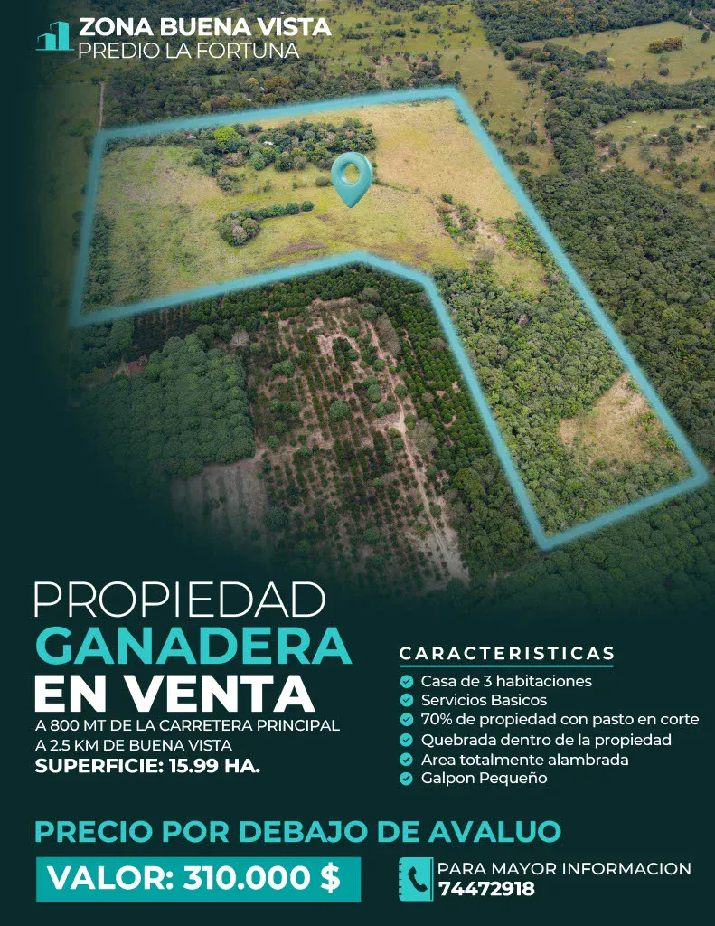 Foto 4 de Oferta de propiedad ganadera