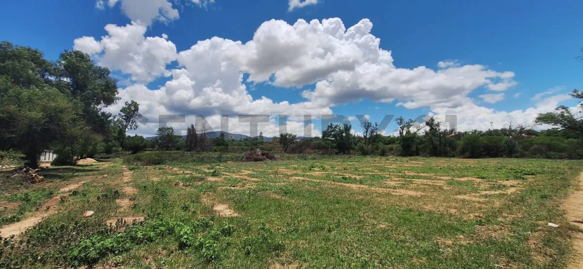 Foto 2 de Hermoso Terreno en San Luis (11)