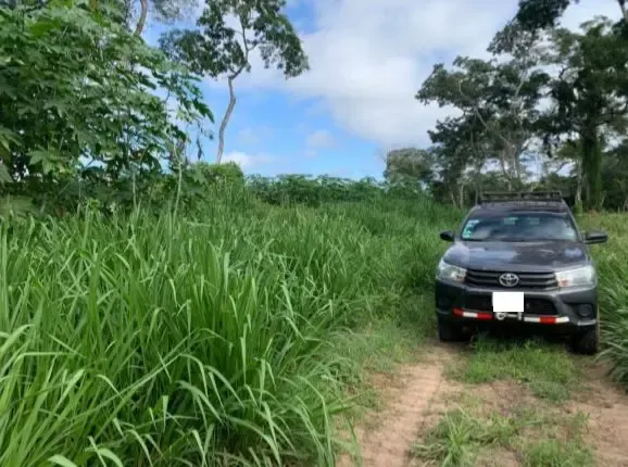Foto 2 de En Venta: 4.100 Hectáreas Ganadera - Agrícola En San José De Chiquitos