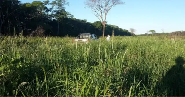 Foto 3 de En Venta: 4.100 Hectáreas Ganadera - Agrícola En San José De Chiquitos