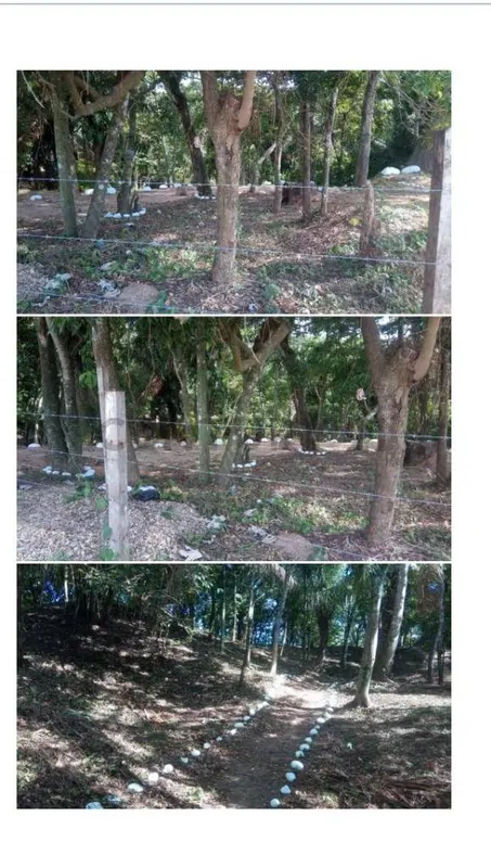 Foto 13 de Nicho en Cementerio Buena Vista - en Venta