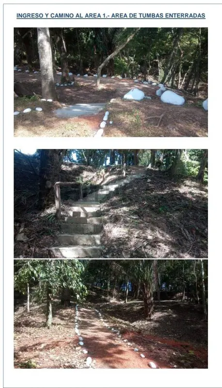 Foto 15 de Nicho en Cementerio Buena Vista - en Venta