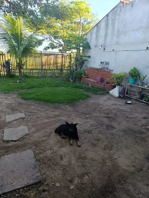 Foto 2 de Casa Economica en Pentaguazu 2