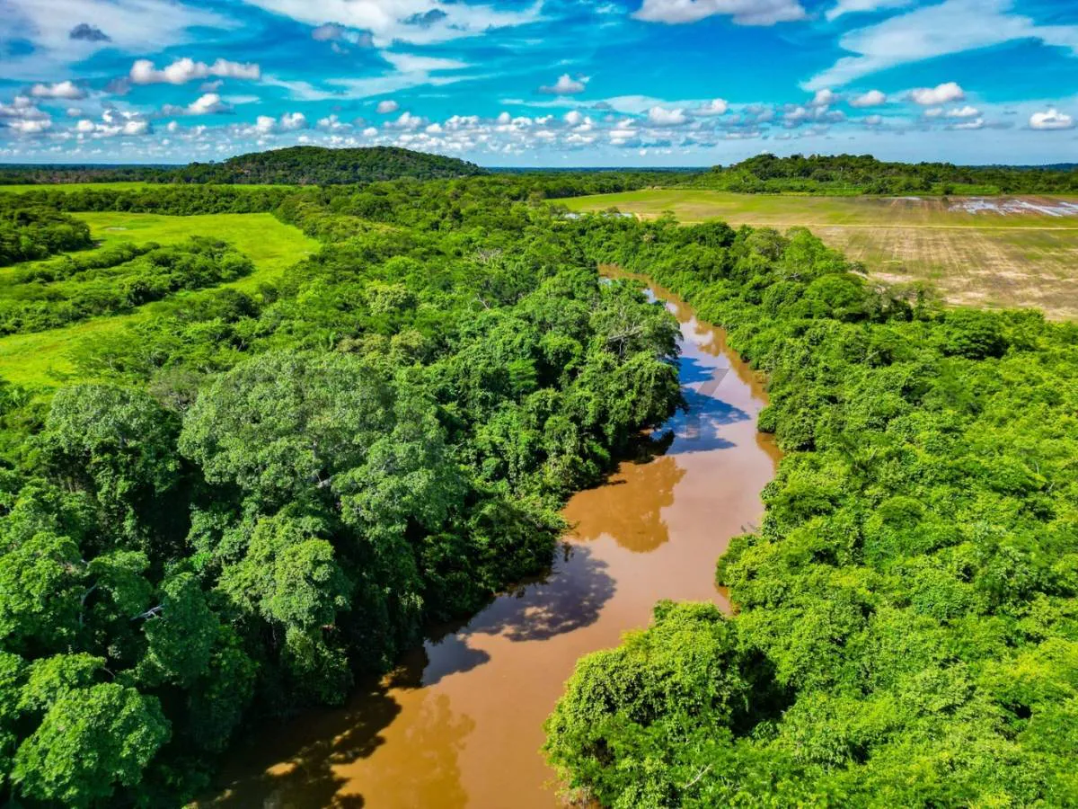 Foto 4 de Propiedad en venta ideal para ganadería y extracción de áridos