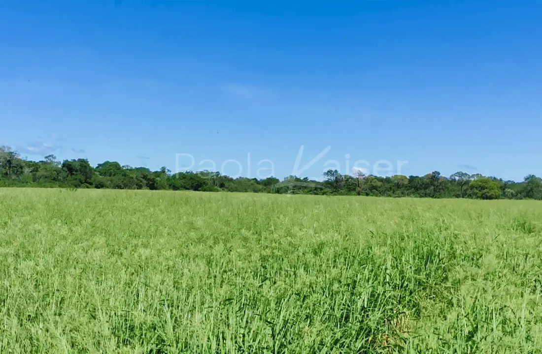Foto 4 de Propiedad agricola en venta en Santa Cruz, Abapo, Camiri