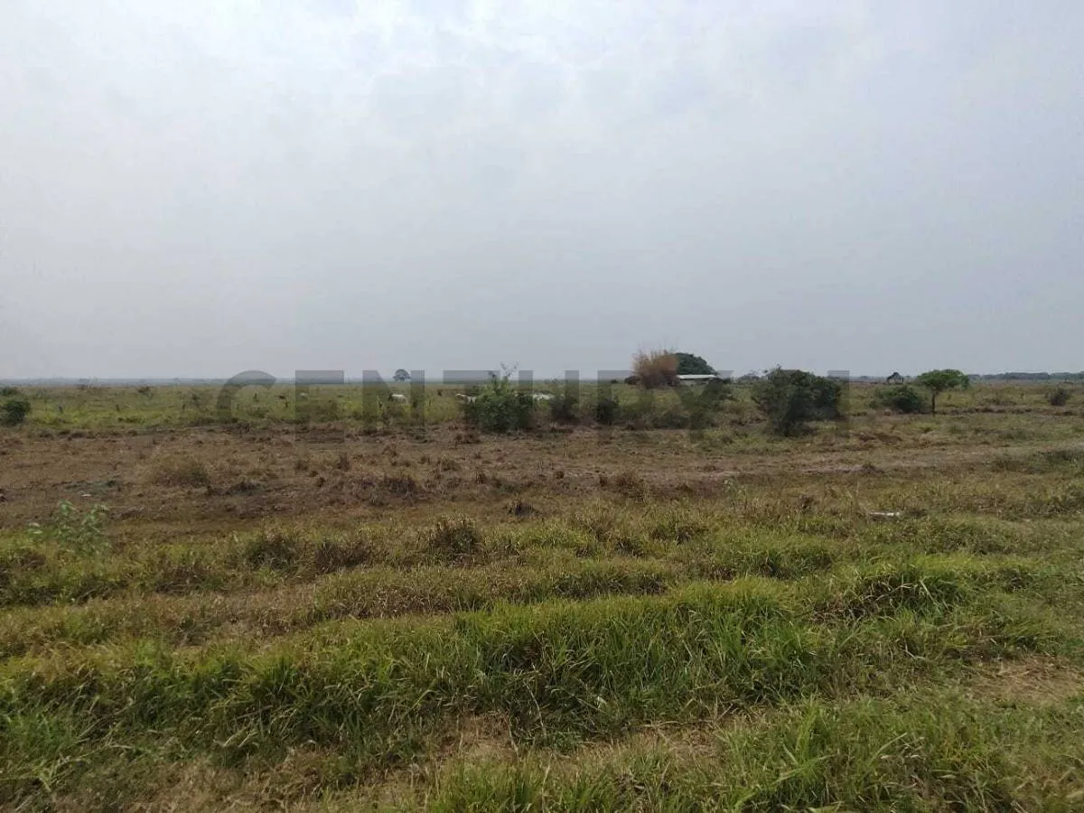 Foto 4 de propieda ganadera en venta, sobre carretera san javier