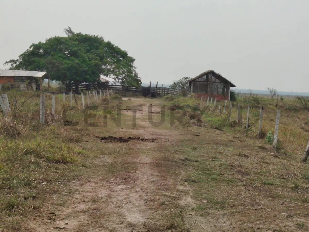 Foto 2 de propieda ganadera en venta, sobre carretera san javier