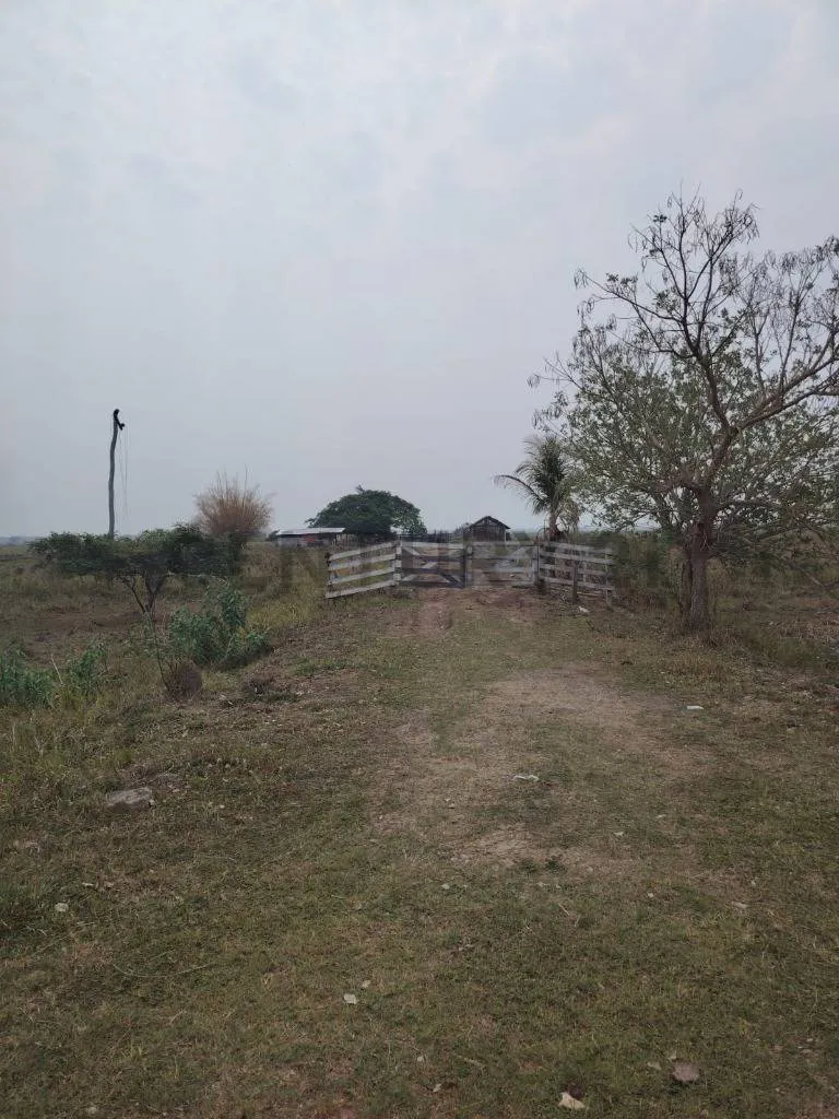 Foto 5 de propieda ganadera en venta, sobre carretera san javier