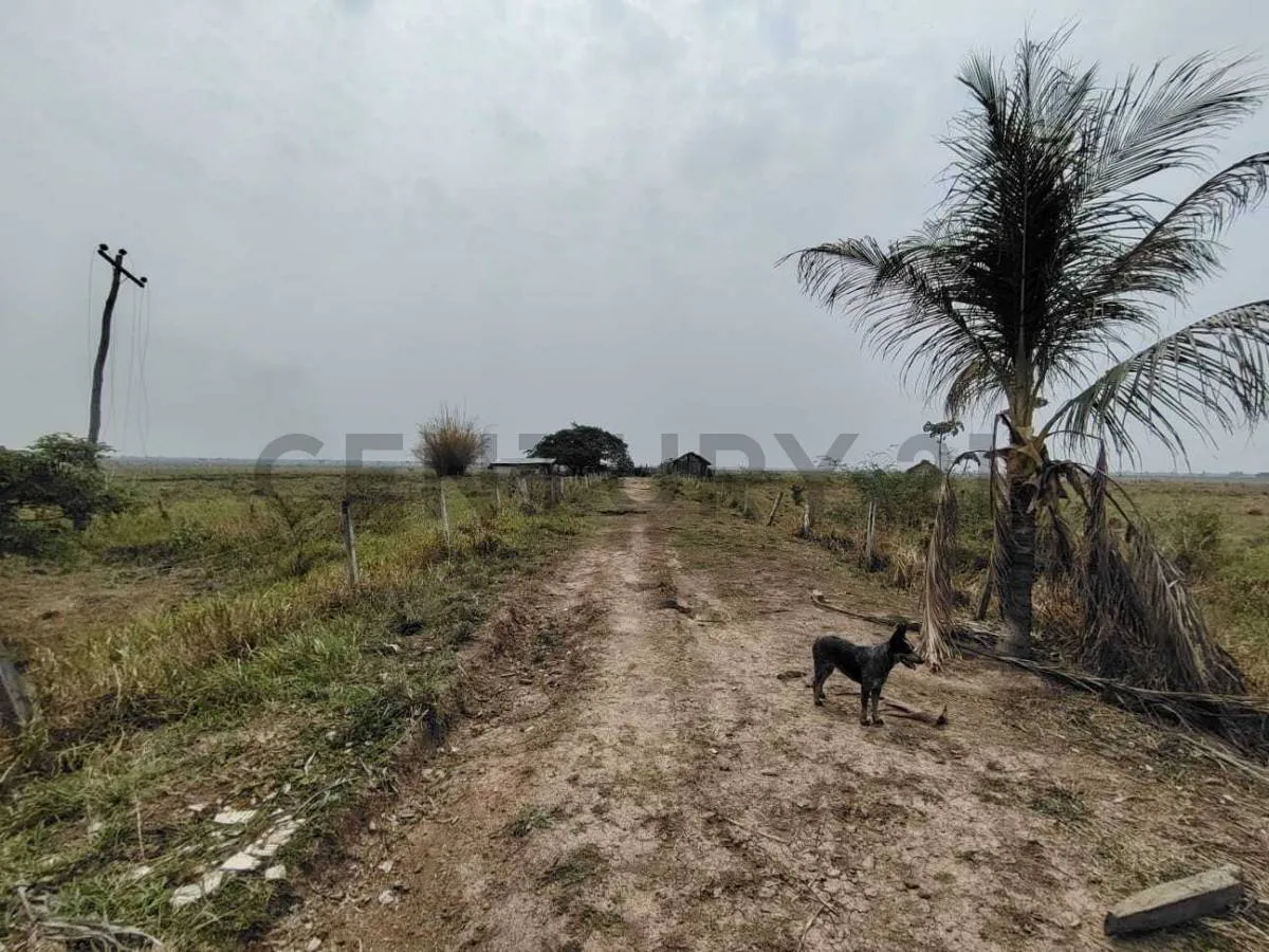 Foto 1 de propieda ganadera en venta, sobre carretera san javier