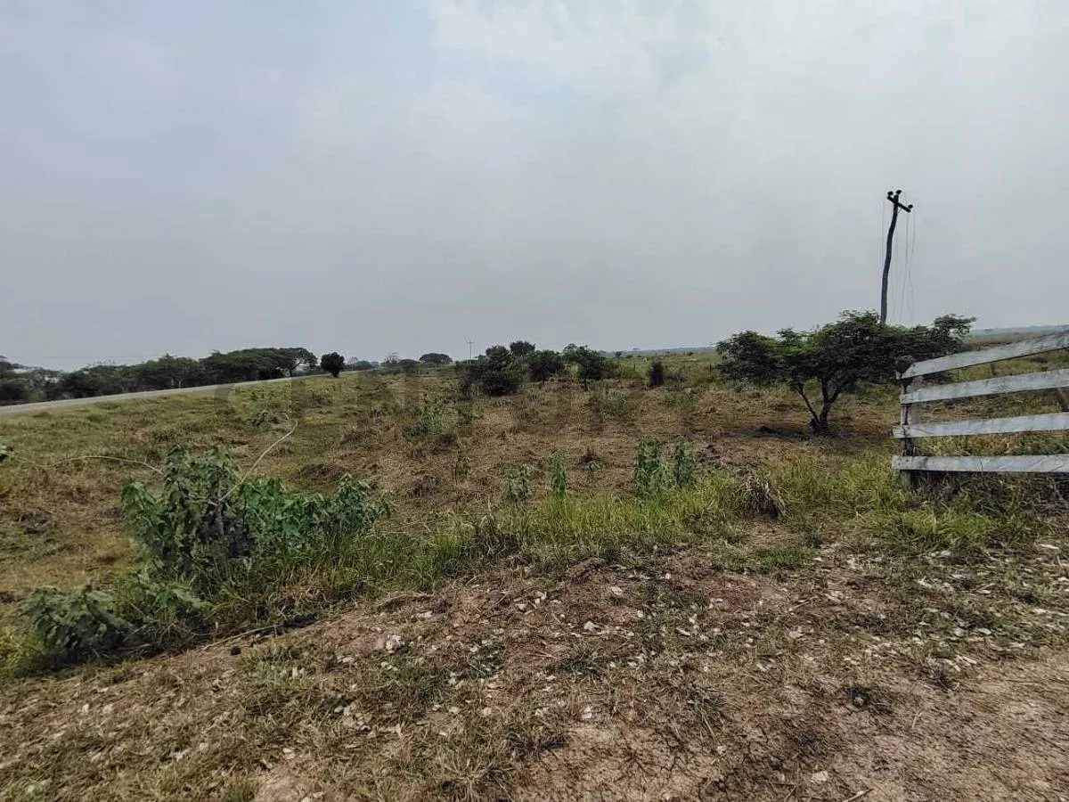 Foto 6 de propieda ganadera en venta, sobre carretera san javier
