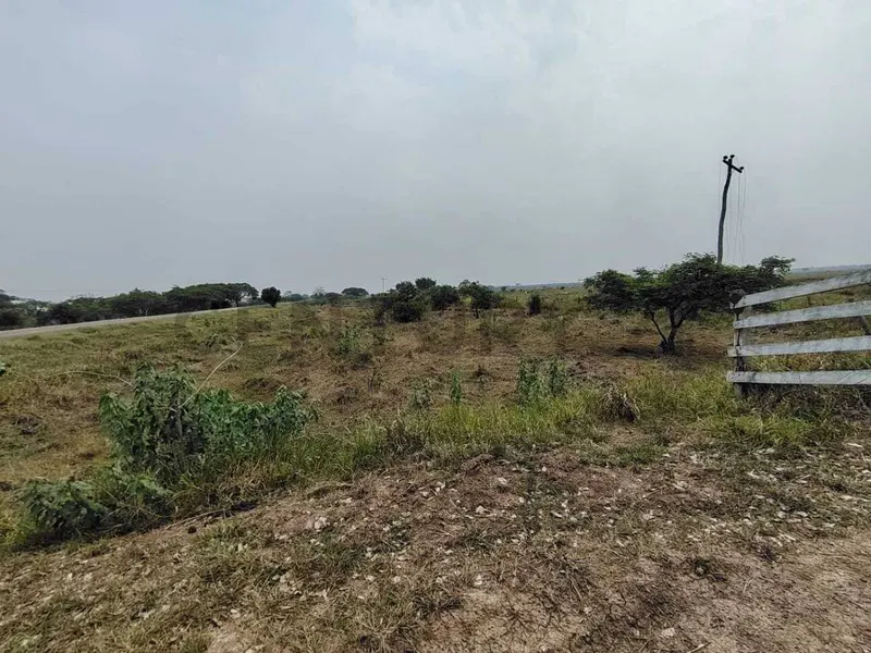 Foto 6 de propieda ganadera en venta, sobre carretera san javier