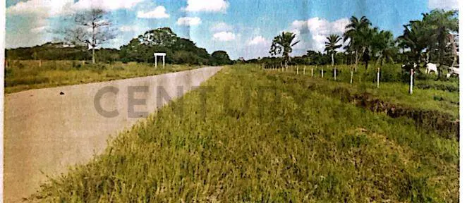 Foto 6 de Terreno en venta