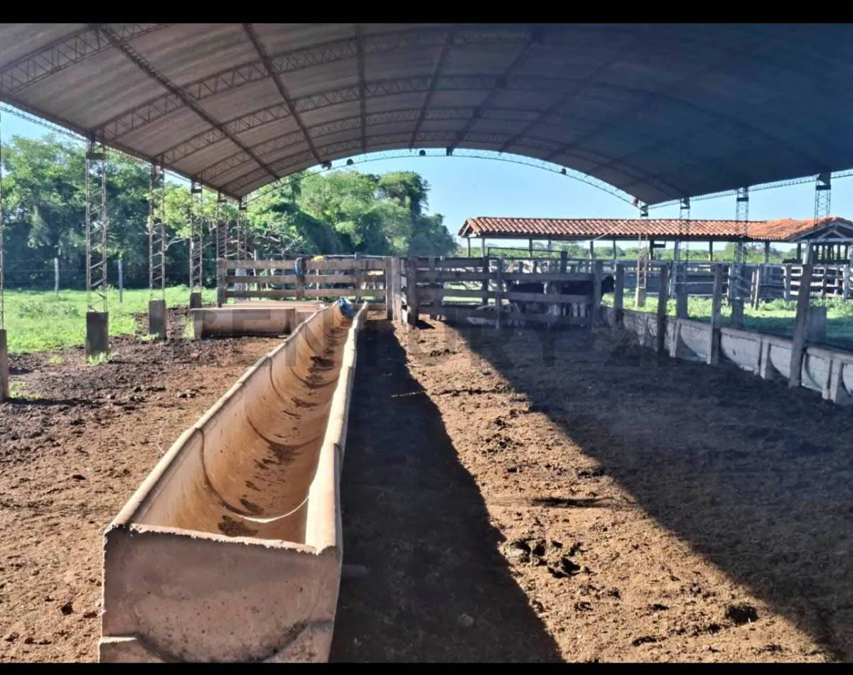 Foto 4 de Cabaña La Salvadora