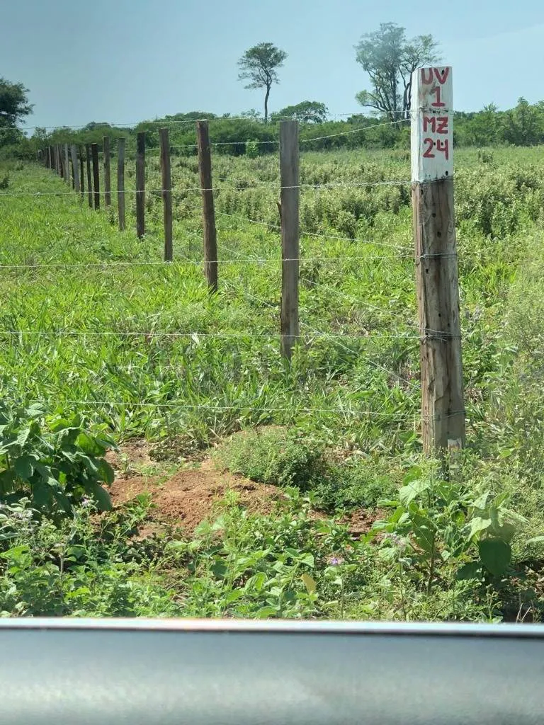 Foto 2 de Terrenos en Venta – Zona El Palmar Urbanización Villa Milagros – Brecha 7
