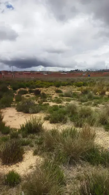 Foto 3 de Terreno en venta de 240 m² en Urbanización Lirio Azul, Senkata
