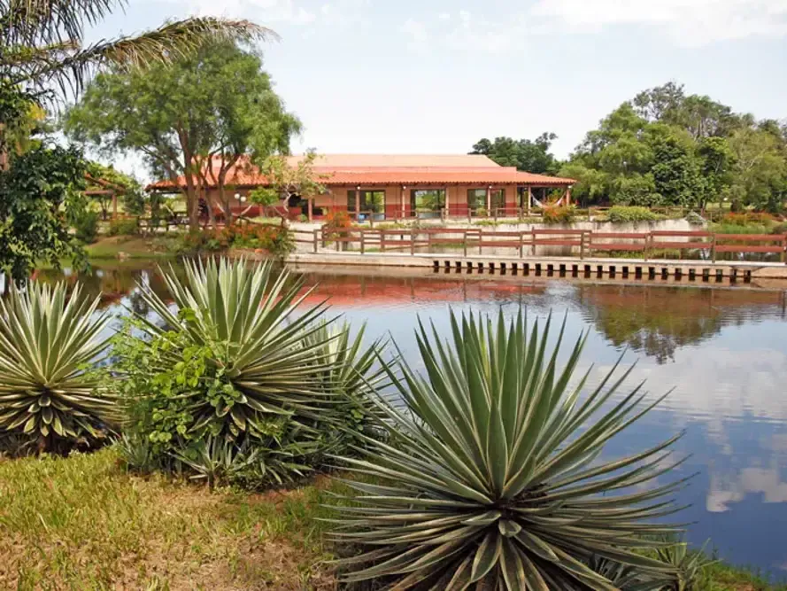 Foto 1 de Terreno en Venta Las Pampitas Complejo Campestre