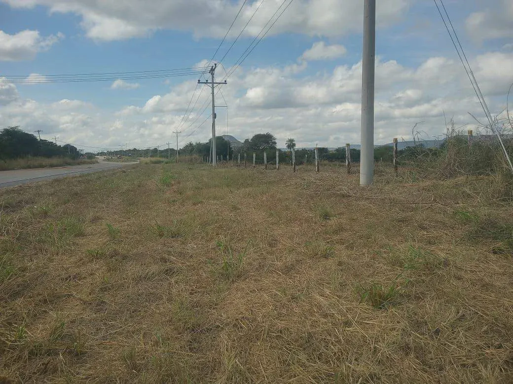 Foto 2 de Terreno en la Cuna Histórica de Santa Cruz