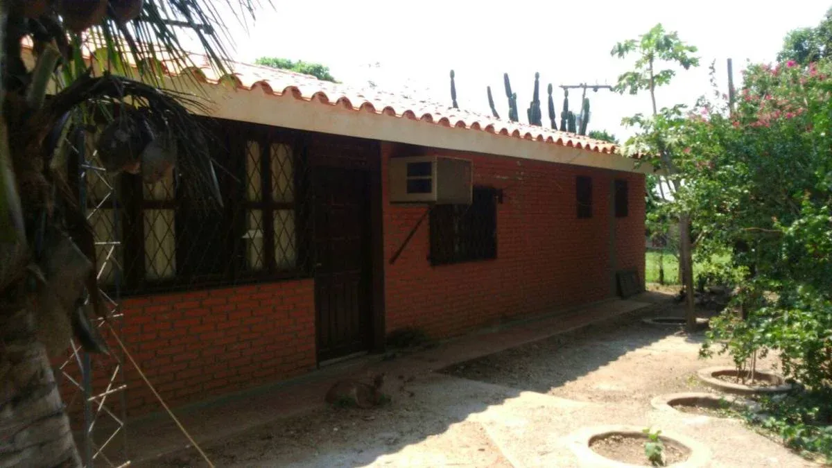 Foto 4 de Propiedad Agricola-Ganadera de 10 Ha en Las Conchas-Cuatro Cañadas- Zona Este