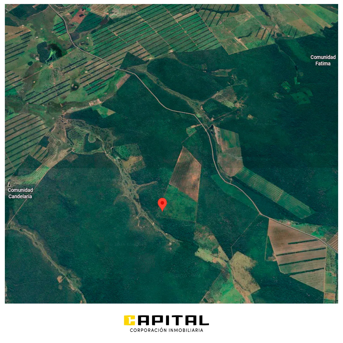 Foto 4 de Propiedad agricola-ganadera en venta en la Chiquitania