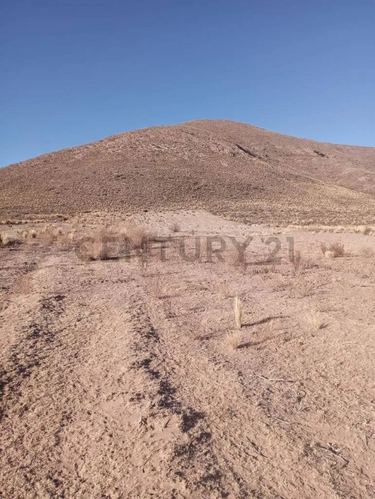 Foto 4 de Amplio Terreno en Venta Ubicado en La Zona Norte Cala Caja Parcela 136